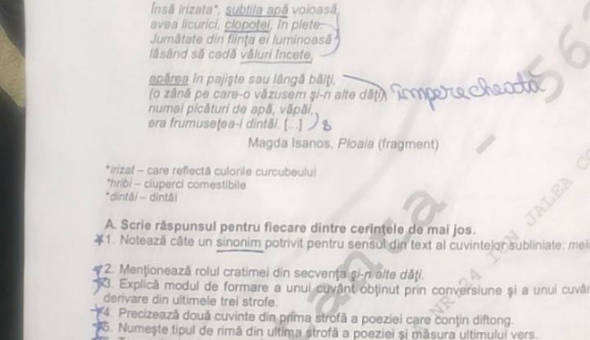 UPDATE / EVALUARE NAȚIONALĂ. Ce subiecte au avut elevii la limba română - 19401503155662475770437618007594-1497859323.jpg