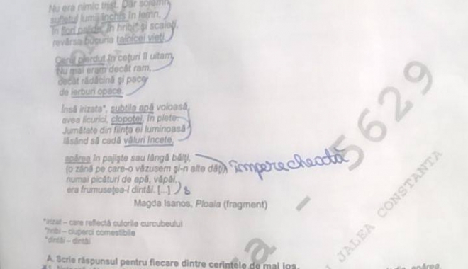 UPDATE / EVALUARE NAȚIONALĂ. Ce subiecte au avut elevii la limba română - 19402473155662496770435515384331-1497859514.jpg