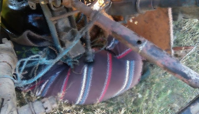 IMAGINI ȘOCANTE / BĂRBAT DECEDAT DUPĂ CE S-A RĂSTURNAT CU TRACTORUL, LA CONSTANȚA - 3-1499410295.jpg