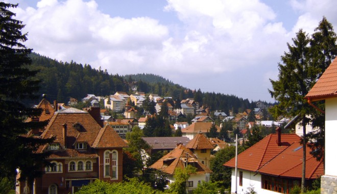 sus-1328648722.jpg