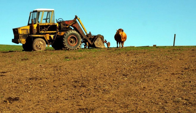tractor-1328631383.jpg