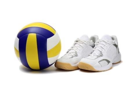 volei-1328602693.jpg