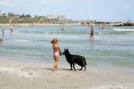 Foto : Vaccinul antirabic are efect doar dac� este administrat �nainte ca boala s� se manifeste