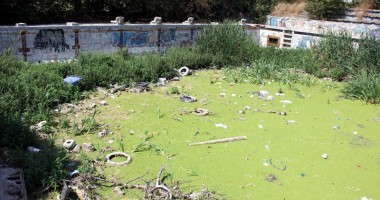 Foto : „Badea C�r�an“, cotropit de broa�te �i mirosuri fetide