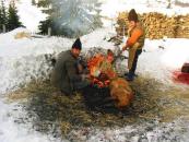 Foto : Primarii const�n�eni au t�iat porcul