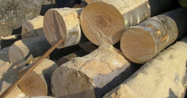 Foto : Cu c�t �i pot cump�ra const�n�enii lemne de la ocoalele silvice