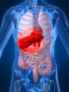 Foto : Reac�iile adverse ale tratamentului hepatitei sperie, dar pot fi dep�ite