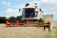 Foto : Produc�ia agricol� este la jum�tate din estim�ri