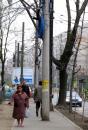 Foto : Miliarde de lei peste miliarde pentru vopsitul st�lpilor
