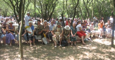 Foto : Picnic �n p�durea de la Dumbr�veni, cu parlamentarii const�n�eni