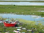 Foto : Bor�ul de pe�te din Delta Dun�rii are iz de gunoi