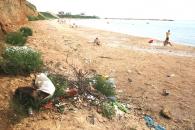 Foto : Pe plaja din Falez� Nord, turi�tii se bronzeaz� l�ng� hoituri de animale (galerie foto)