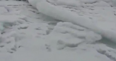 Foto : Marea Neagr� a �nceput s� scoat� sunete bizare VIDEO