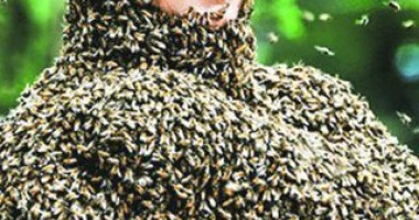 Foto : Un chinez, stup uman! Acoperit cu 26 de kg de albine
