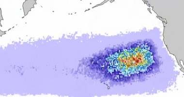 Foto : Statele Unite, lovite de 25 de milioane de tone de resturi de la tsunami-ul din Japonia
