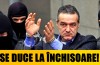becaliinchisoare-1369062732.jpg : SENTIN��! GIGI BECALI VA FACE 3 ANI DE �NCHISOARE!