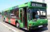 ratc1332177313-1369000160.jpg : �ncepe distribu�ia gratuit��ilor la transportul �n comun pentru deporta�i �i persecuta�ii politic