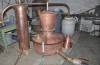 tuica-1337379217.jpg : Rom�n arestat �n SUA pentru c� f�cea �uic� �n curtea casei