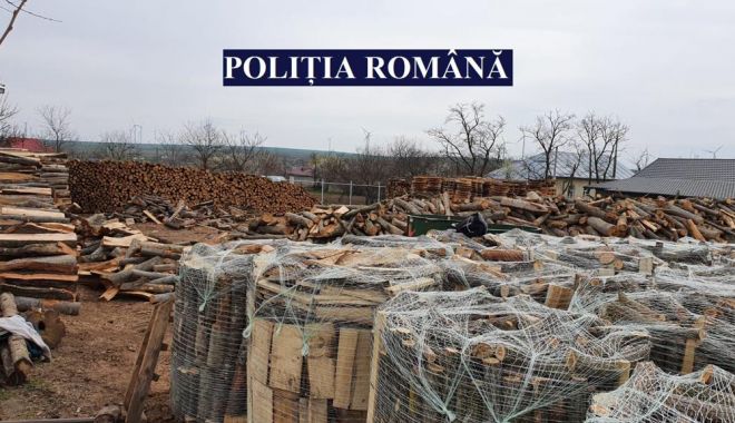 Acţiune a poliţiştilor pentru combaterea faptelor ilegale în domeniul forestier