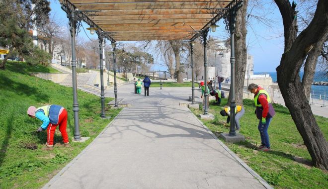 Parcul Arheologic și Faleza Cazinoului din Constanța se vor umple de trandafiri