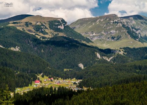 Ziua Muntelui în România, marcată de voluntarii din Ibănești printr-o acțiune de ecologizare