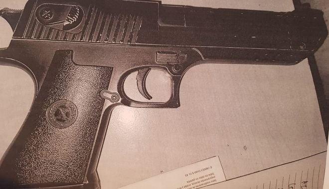 PISTOLAR ÎN PARCUL TĂBĂCĂRIE, surprins de Poliția Locală