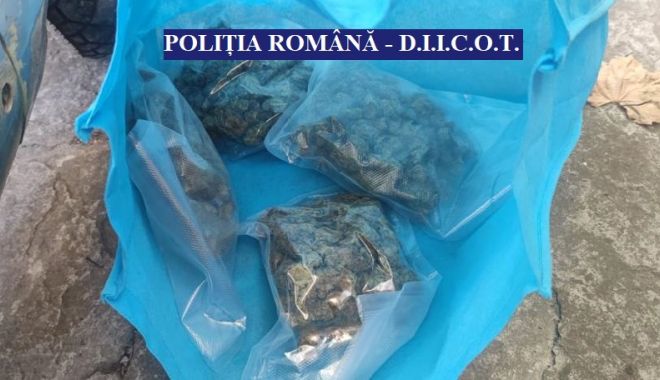 PERCHEZIȚII ÎN CONSTANȚA: TRAFICANT DE DROGURI, reținut! Aducea „marfa” din Olanda!