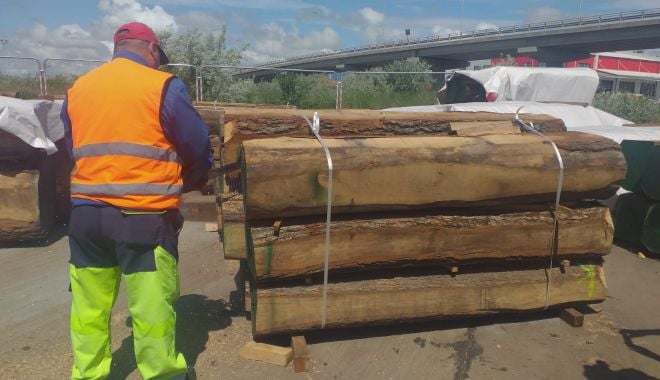 CONTAINER CU LEMNE, DESTINAT EXPORTULUI, VERIFICAT ÎN PORT