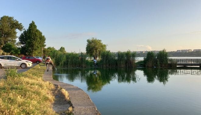 Continuă acţiunile de dezinsecție în municipiul Constanța