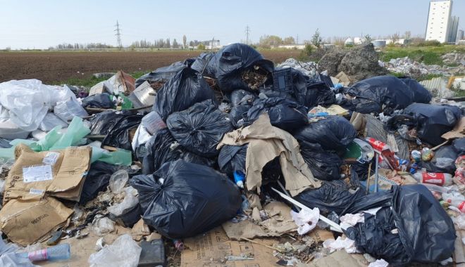 Agenţi economici, amendaţi cu câte 20.000 lei pentru că au aruncat gunoaiele pe domeniul public