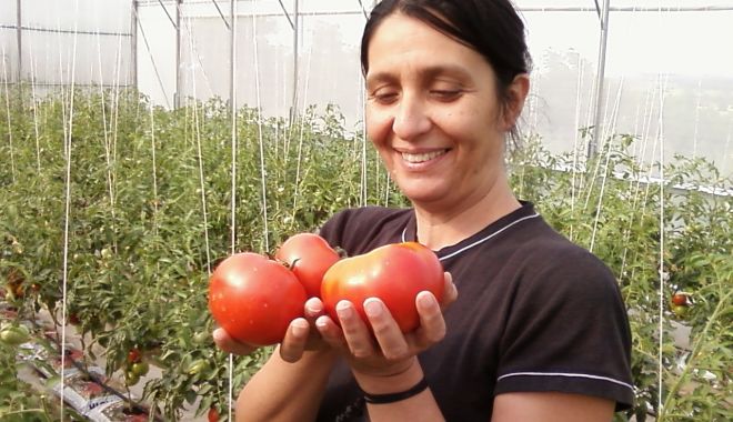Locuri de muncă vacante în Spaţiul Economic European. Ce meserii se caută