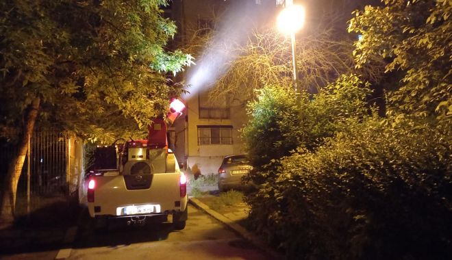 A început acţiunea de stropire a copacilor, la Constanţa