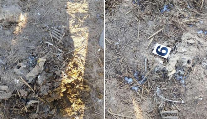 Patronul unei firme de incinerare, trimis în judecată