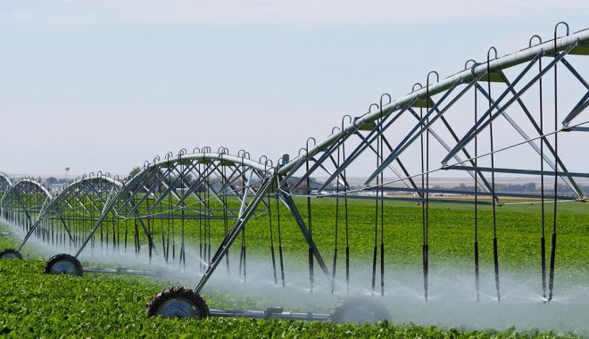 Fermierii dobrogeni au discutat cu ministrul Agriculturii despre susţinerea proiectelor de irigaţii locale
