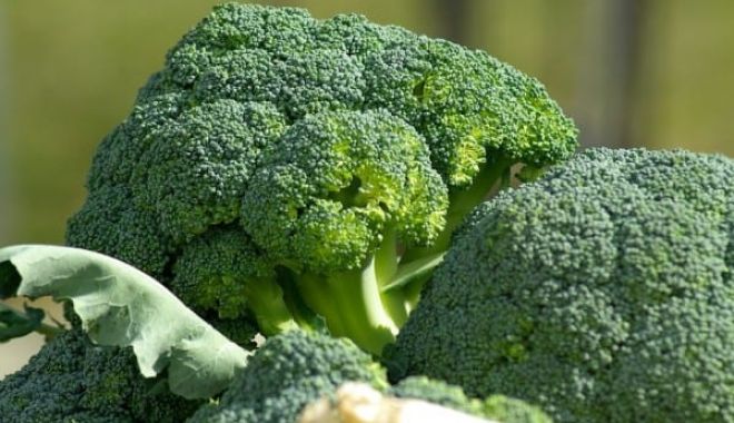 Alertă în supermarkert: Brocolli retras de pe rafturi