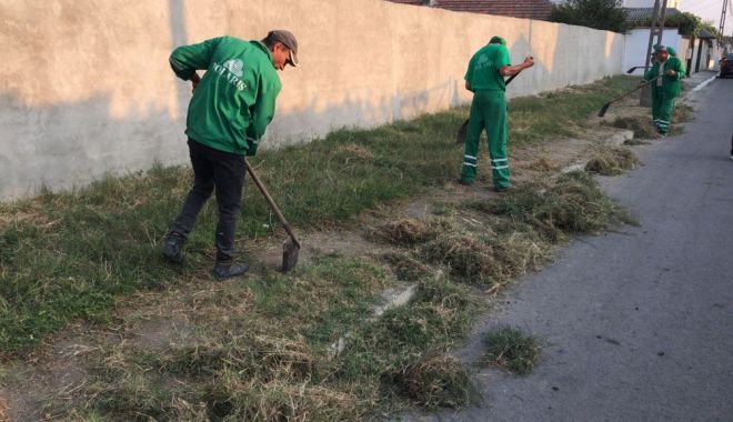Buruienile de pe trotuare, adunate de echipele de la salubrizare