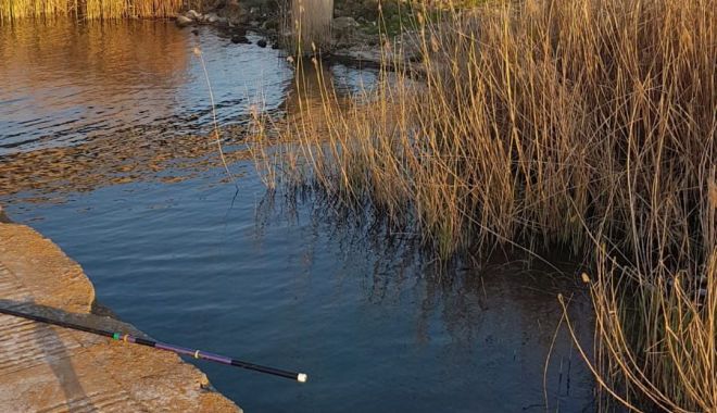 Bărbat găsit MORT, în canal, la Medgidia