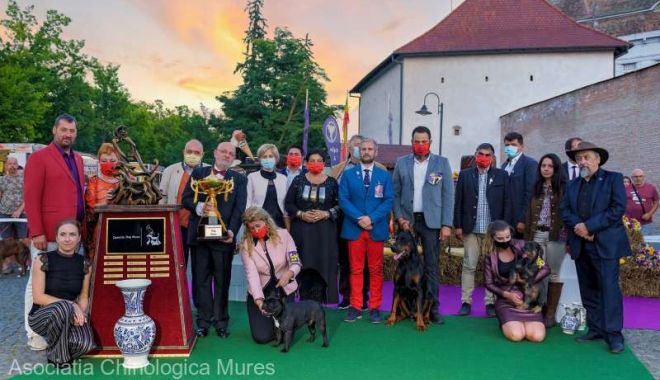 Sute de câini au defilat la Dracula Dog Show