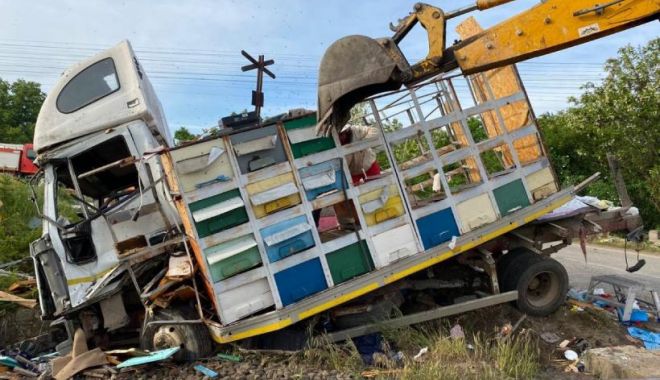 Camion plin cu stupi de albine, spulberat de un tren cu doi călători