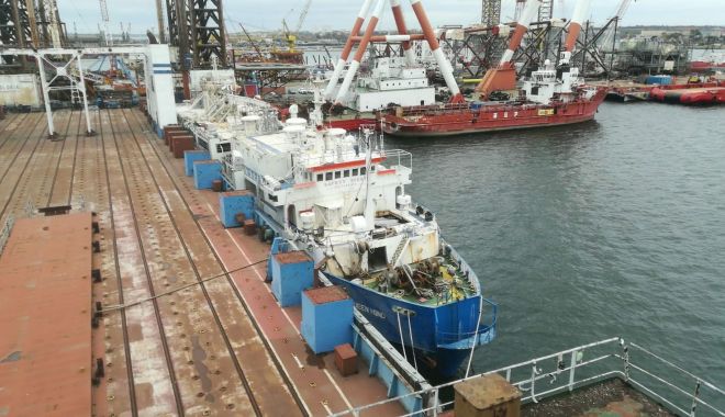 Cele 11 nave cu animale care au plecat din Portul Constanţa au ajuns la destinaţie