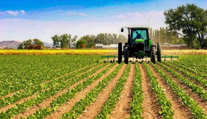 Ce programe agricole vor primi undă verde de la Guvern