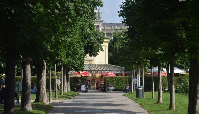 Comisia Europeană vrea împăduriri masive în blocul comunitar