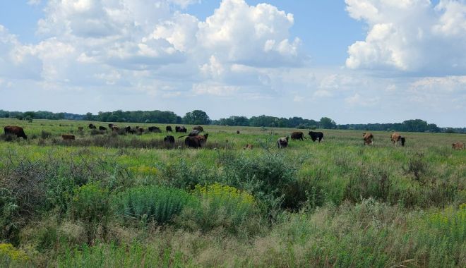 Condiţii stricte pentru vizitarea traseelor din Pădurea Letea şi Pădurea Caraorman