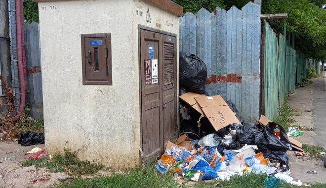 Constănțenii care aruncă gunoiul pe domeniul public, sancţionaţi drastic de poliţiştii locali
