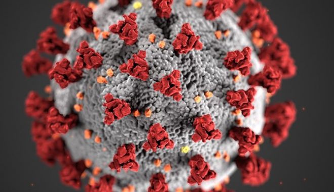 Coronavirus: 2.255 de cazuri noi. La Constanța au fost înregistrate 57 de infectări