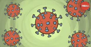 Coronavirus: Situație actualizată la nivelul județului Constanța.188 de persoane internate