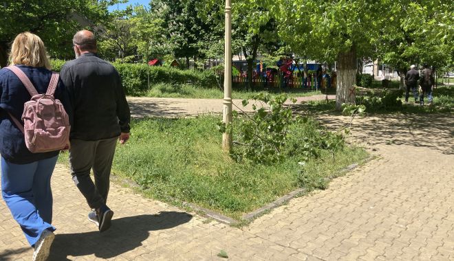 Cum puteţi sesiza Primăria Constanţa să ridice deşeurile vegetale