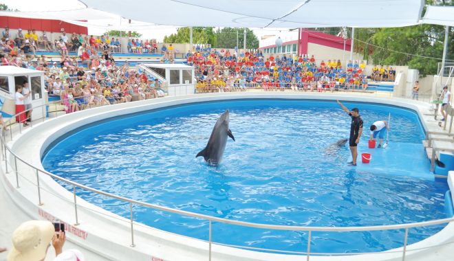 Se redeschide Delfinariul. Când sunt aşteptaţi vizitatorii