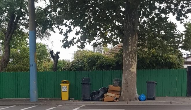 Sancţiuni pentru aruncarea gunoiului pe domeniul public