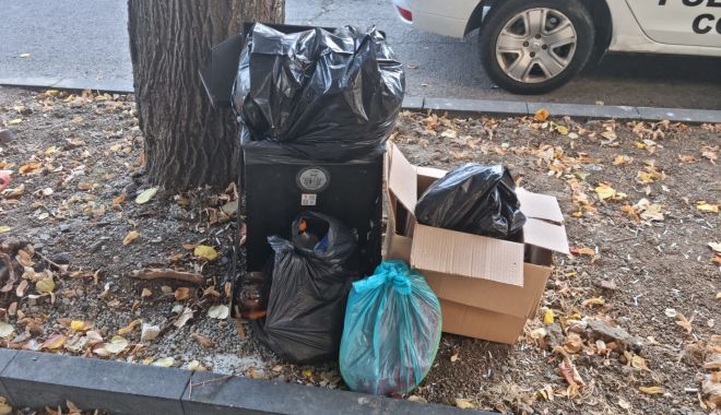 Amenzi usturătoare pentru cei care aruncă gunoiul unde nu trebuie